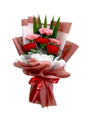 Bouquet of Carnation 10 (Copy)