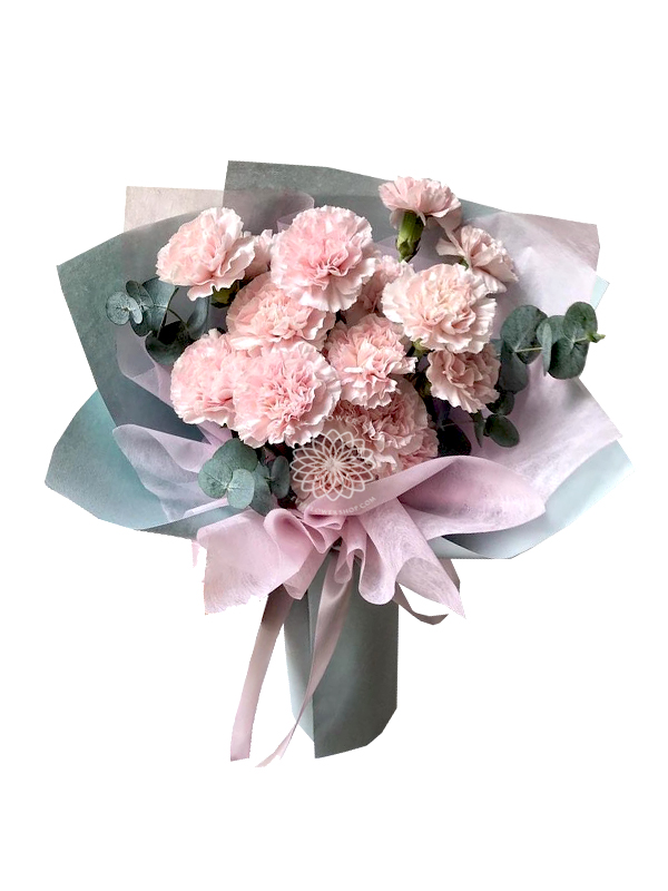 bouquet of carnation 6-flower delivery philippines-arrangement