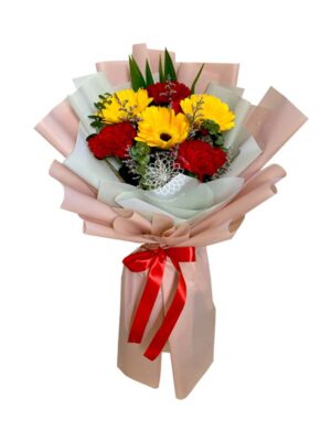 Bouquet of Carnation 9 (Copy)