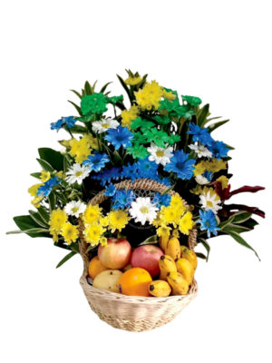 Fruit Basket 12