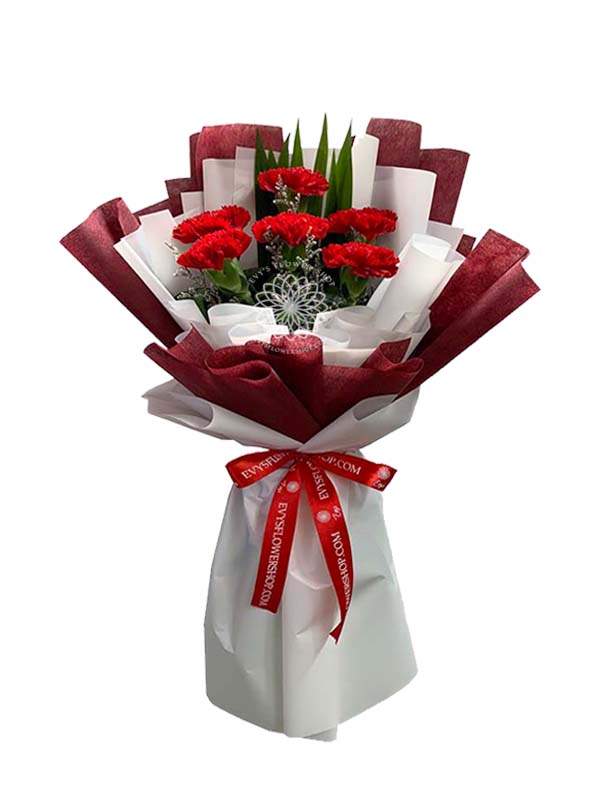 Bouquet of Carnation 5 (Copy)