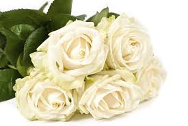 Read more about the article Tips in buying Sympathy flowers in the Philippines.